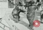Image les animaux sauvages Washington DC USA, 1921, de la seconde 22 séquences d'archives historiques vidéo 65675021542