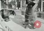 Image les animaux sauvages Washington DC USA, 1921, de la seconde 28 séquences d'archives historiques vidéo 65675021542