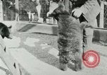 Image les animaux sauvages Washington DC USA, 1921, de la seconde 30 séquences d'archives historiques vidéo 65675021542