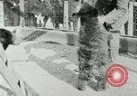 Image les animaux sauvages Washington DC USA, 1921, de la seconde 31 séquences d'archives historiques vidéo 65675021542