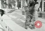 Image les animaux sauvages Washington DC USA, 1921, de la seconde 32 séquences d'archives historiques vidéo 65675021542