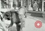 Image les animaux sauvages Washington DC USA, 1921, de la seconde 33 séquences d'archives historiques vidéo 65675021542