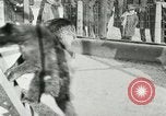 Image les animaux sauvages Washington DC USA, 1921, de la seconde 34 séquences d'archives historiques vidéo 65675021542