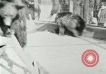 Image les animaux sauvages Washington DC USA, 1921, de la seconde 36 séquences d'archives historiques vidéo 65675021542