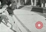 Image les animaux sauvages Washington DC USA, 1921, de la seconde 40 séquences d'archives historiques vidéo 65675021542