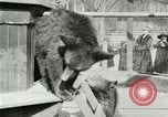 Image les animaux sauvages Washington DC USA, 1921, de la seconde 43 séquences d'archives historiques vidéo 65675021542