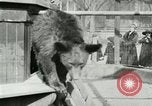 Image les animaux sauvages Washington DC USA, 1921, de la seconde 44 séquences d'archives historiques vidéo 65675021542