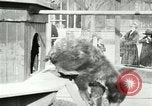 Image les animaux sauvages Washington DC USA, 1921, de la seconde 46 séquences d'archives historiques vidéo 65675021542