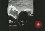 Image of wild animals Washington DC USA, 1921, second 26 stock footage video 65675021543
