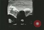 Image of wild animals Washington DC USA, 1921, second 27 stock footage video 65675021543