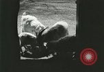 Image of wild animals Washington DC USA, 1921, second 29 stock footage video 65675021543