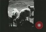Image of wild animals Washington DC USA, 1921, second 37 stock footage video 65675021543
