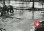 Image of wild animals Washington DC USA, 1921, second 5 stock footage video 65675021544