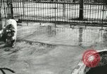 Image of wild animals Washington DC USA, 1921, second 7 stock footage video 65675021544