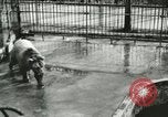 Image of wild animals Washington DC USA, 1921, second 8 stock footage video 65675021544
