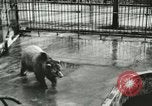 Image of wild animals Washington DC USA, 1921, second 9 stock footage video 65675021544