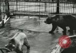 Image of wild animals Washington DC USA, 1921, second 11 stock footage video 65675021544