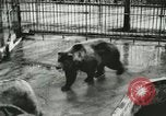 Image of wild animals Washington DC USA, 1921, second 12 stock footage video 65675021544