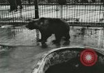 Image of wild animals Washington DC USA, 1921, second 17 stock footage video 65675021544