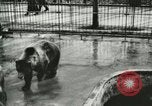 Image of wild animals Washington DC USA, 1921, second 19 stock footage video 65675021544