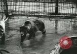 Image of wild animals Washington DC USA, 1921, second 24 stock footage video 65675021544
