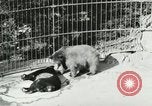 Image of wild animals Washington DC USA, 1921, second 35 stock footage video 65675021544