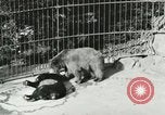 Image of wild animals Washington DC USA, 1921, second 37 stock footage video 65675021544