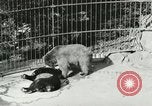 Image of wild animals Washington DC USA, 1921, second 38 stock footage video 65675021544