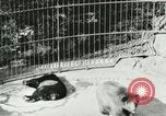 Image of wild animals Washington DC USA, 1921, second 51 stock footage video 65675021544