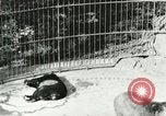 Image of wild animals Washington DC USA, 1921, second 52 stock footage video 65675021544