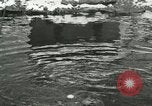 Standbild wilde Tiere Washington DC USA, 1921, aus Sekunde 5 historischem Filmmaterial Videoclip 65675021545