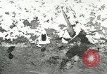Standbild wilde Tiere Washington DC USA, 1921, aus Sekunde 15 historischem Filmmaterial Videoclip 65675021545
