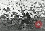 Standbild wilde Tiere Washington DC USA, 1921, aus Sekunde 16 historischem Filmmaterial Videoclip 65675021545