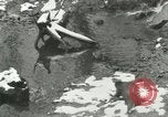 Standbild wilde Tiere Washington DC USA, 1921, aus Sekunde 18 historischem Filmmaterial Videoclip 65675021545