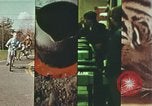 Standbild Junge Kinder lernen fahren Nassau County New York USA, 1974, aus Sekunde 55 historischem Filmmaterial Videoclip 65675021547