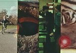 Standbild Junge Kinder lernen fahren Nassau County New York USA, 1974, aus Sekunde 58 historischem Filmmaterial Videoclip 65675021547