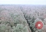 Standbild Die Great Dismal Swamp United States USA, 1974, aus Sekunde 5 historischem Filmmaterial Videoclip 65675021550