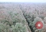 Standbild Die Great Dismal Swamp United States USA, 1974, aus Sekunde 6 historischem Filmmaterial Videoclip 65675021550