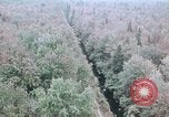 Standbild Die Great Dismal Swamp United States USA, 1974, aus Sekunde 7 historischem Filmmaterial Videoclip 65675021550