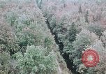 Standbild Die Great Dismal Swamp United States USA, 1974, aus Sekunde 8 historischem Filmmaterial Videoclip 65675021550