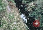 Standbild Die Great Dismal Swamp United States USA, 1974, aus Sekunde 14 historischem Filmmaterial Videoclip 65675021550