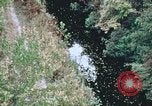 Standbild Die Great Dismal Swamp United States USA, 1974, aus Sekunde 15 historischem Filmmaterial Videoclip 65675021550