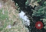 Standbild Die Great Dismal Swamp United States USA, 1974, aus Sekunde 16 historischem Filmmaterial Videoclip 65675021550
