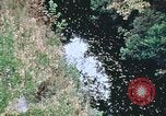 Standbild Die Great Dismal Swamp United States USA, 1974, aus Sekunde 17 historischem Filmmaterial Videoclip 65675021550