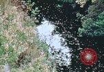 Standbild Die Great Dismal Swamp United States USA, 1974, aus Sekunde 18 historischem Filmmaterial Videoclip 65675021550