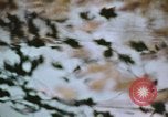 Standbild Die Great Dismal Swamp United States USA, 1974, aus Sekunde 22 historischem Filmmaterial Videoclip 65675021550