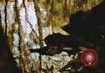 Standbild Die Great Dismal Swamp United States USA, 1974, aus Sekunde 26 historischem Filmmaterial Videoclip 65675021550