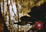 Standbild Die Great Dismal Swamp United States USA, 1974, aus Sekunde 28 historischem Filmmaterial Videoclip 65675021550