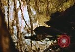 Standbild Die Great Dismal Swamp United States USA, 1974, aus Sekunde 29 historischem Filmmaterial Videoclip 65675021550