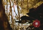 Standbild Die Great Dismal Swamp United States USA, 1974, aus Sekunde 30 historischem Filmmaterial Videoclip 65675021550